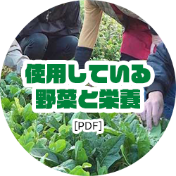 使用している野菜と栄養[PDF]